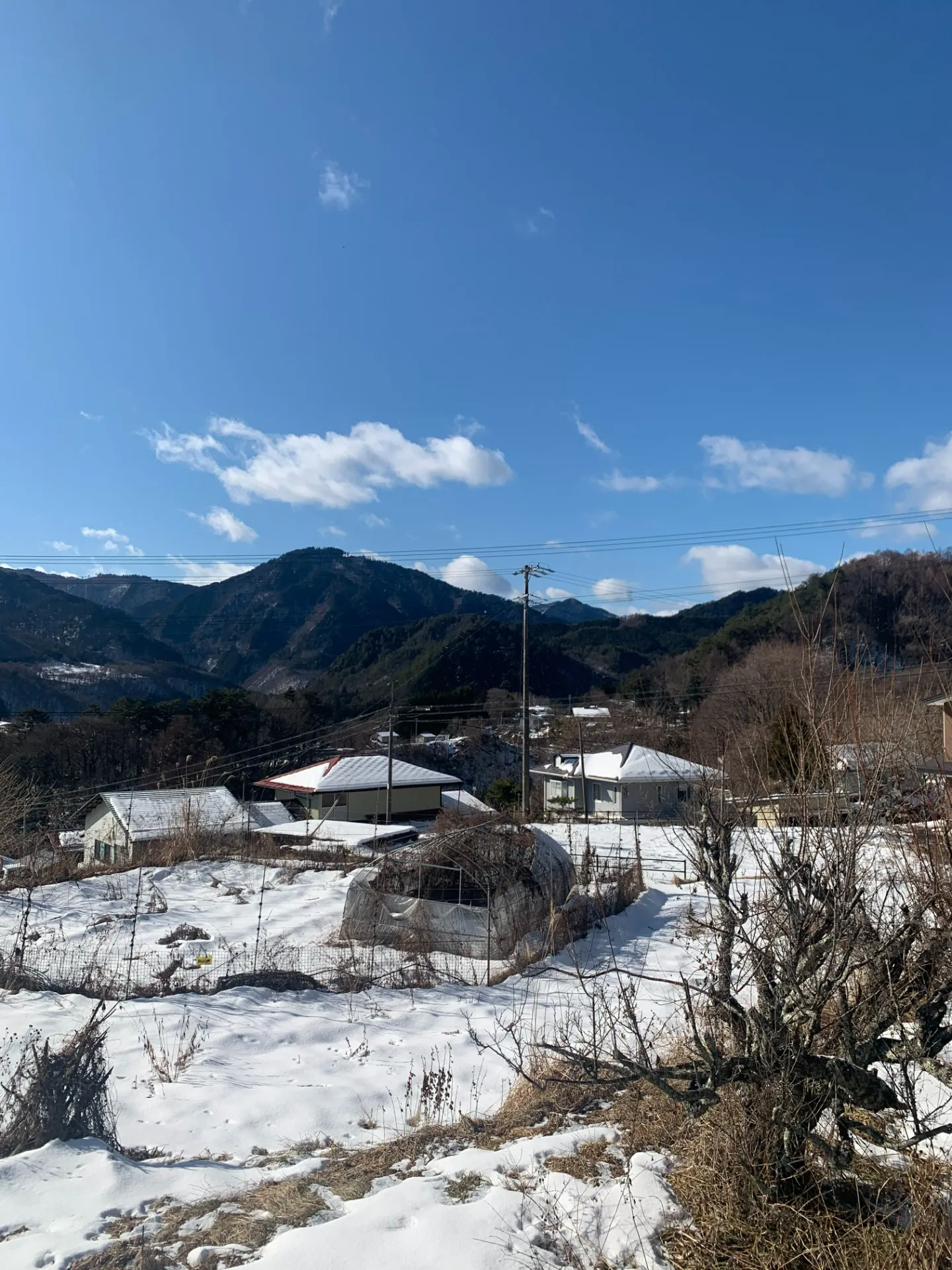 ご挨拶遅れました！